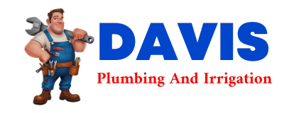 Trusted plumber in BEN BOLT